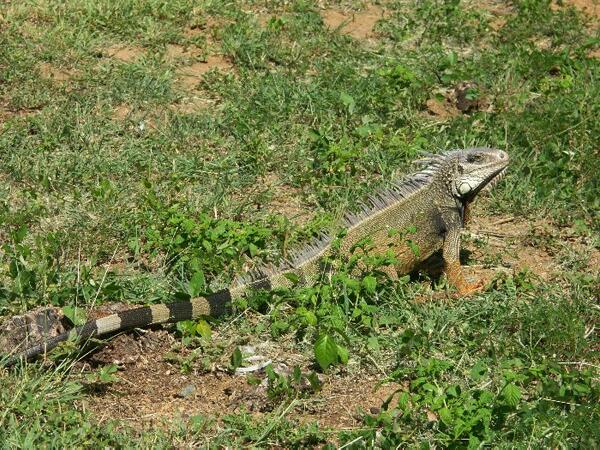 Click to See Next Image