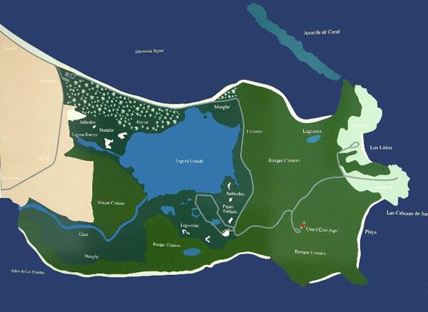 Click to See Next Image