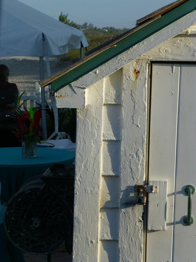 Click to See Next Image