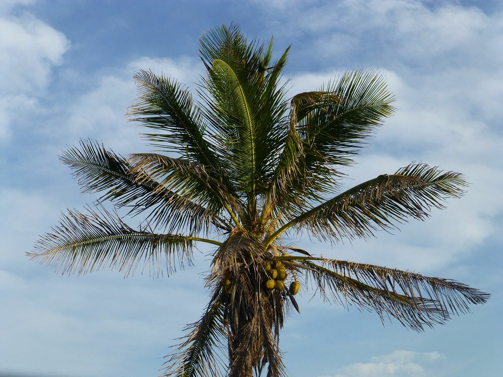 Click to See Next Image