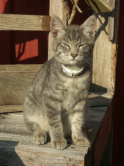 Click to See Next Image