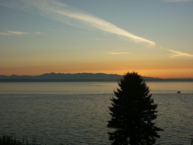 Click to See Next Image