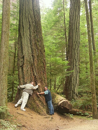 Click to See Next Image