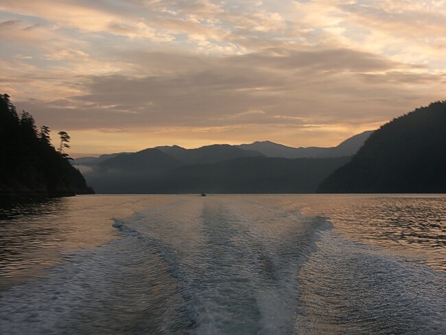 Click to See Next Image