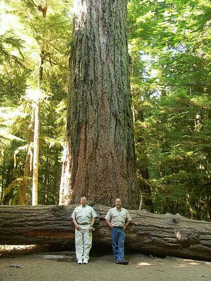 Click to See Next Image