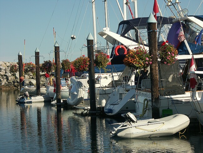 Click to See Next Image