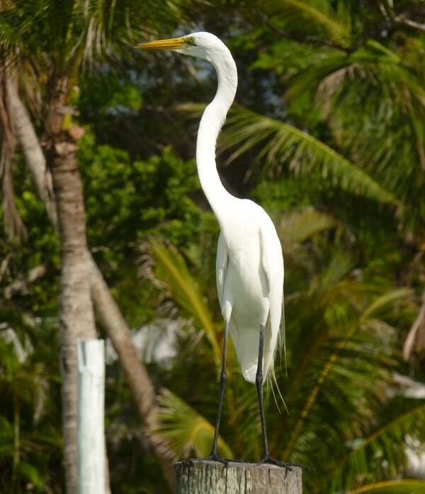 Click to See Next Image