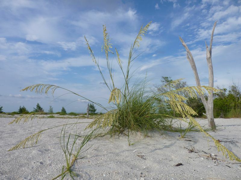 Click to See Next Image