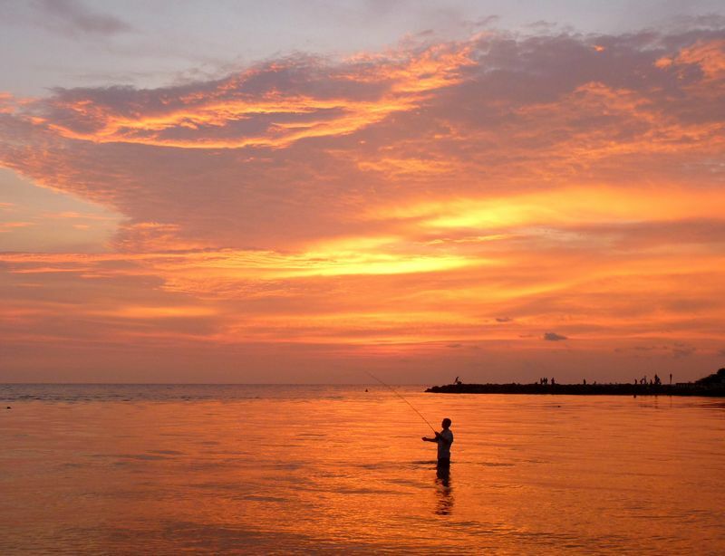 Click to See Next Image