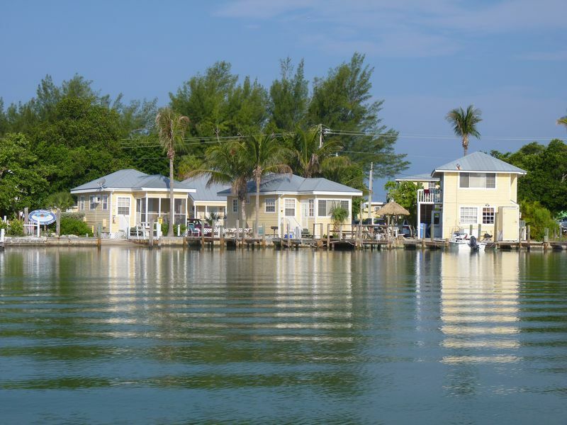 Click to See Next Image