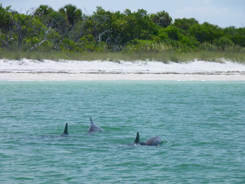 Click to See Next Image