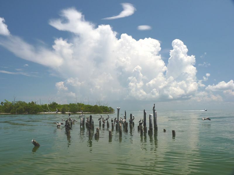 Click to See Next Image