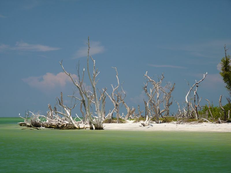 Click to See Next Image