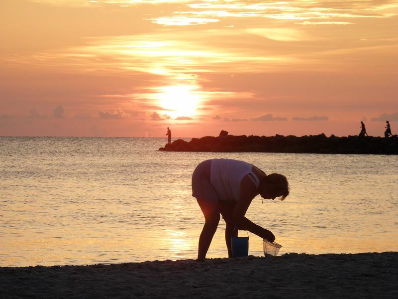 Click to See Next Image