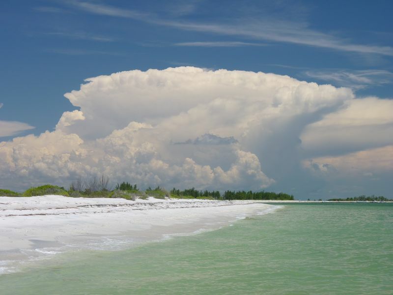 Click to See Next Image