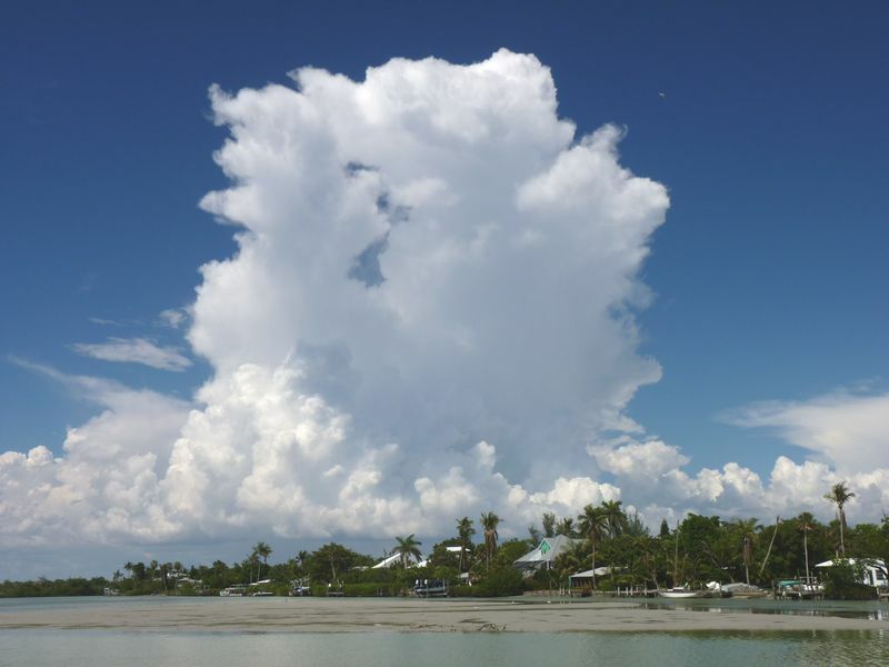 Click to See Next Image