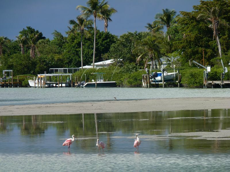 Click to See Next Image