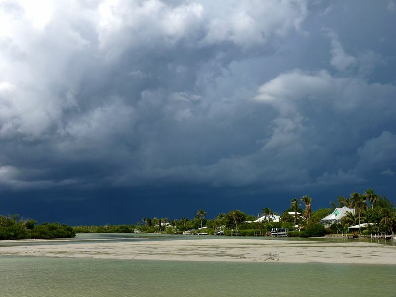 Click to See Next Image