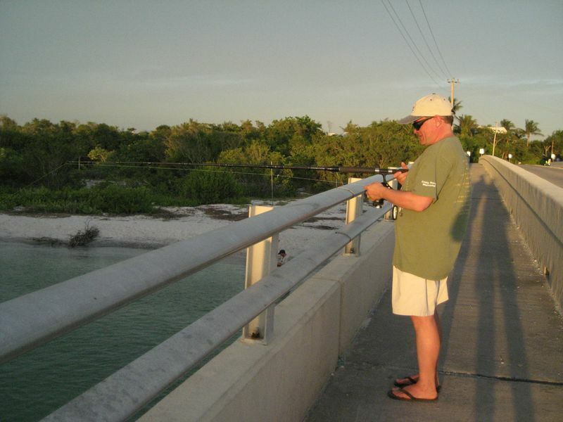 Click to See Next Image