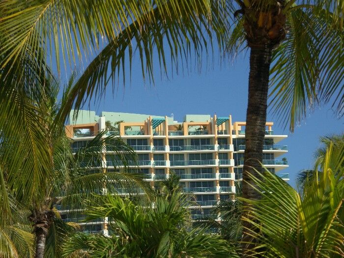 Click to See Next Image