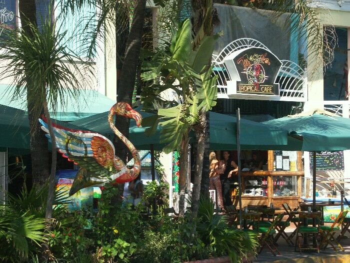 Click to See Next Image