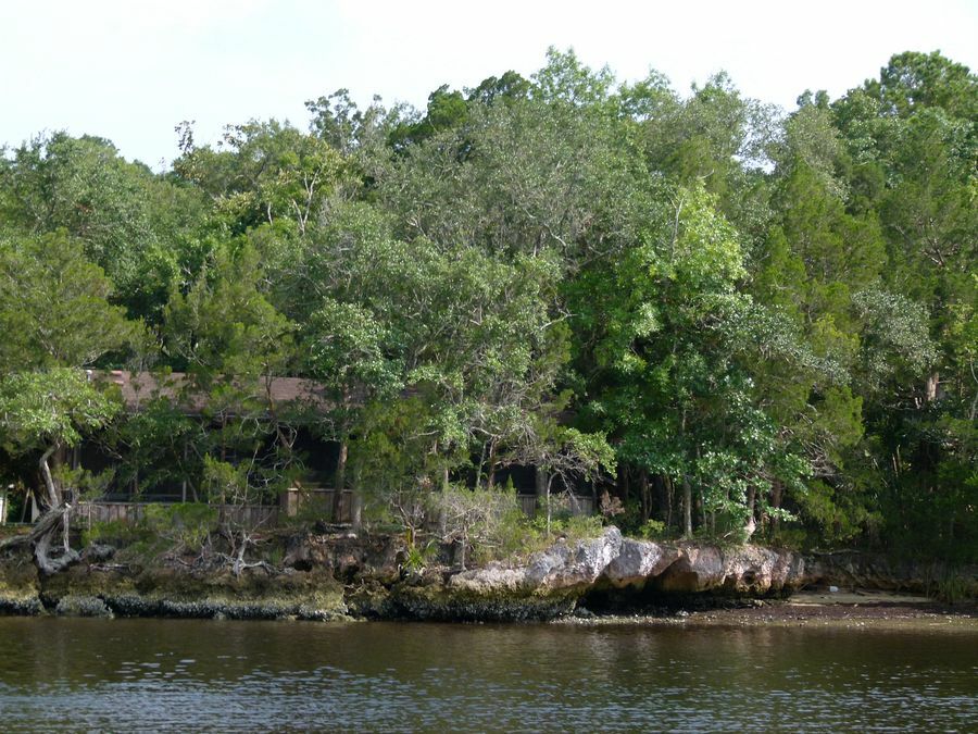 Click to See Next Image