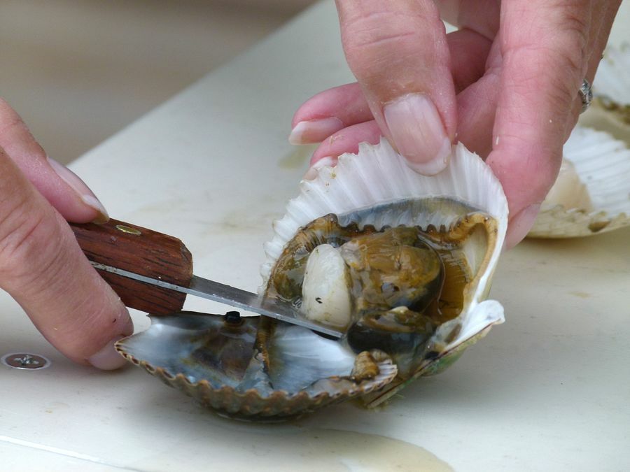 Click to See Next Image