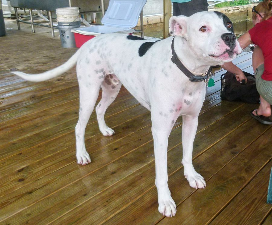 Click to See Next Image