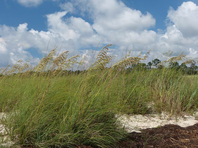 Click to See Next Image