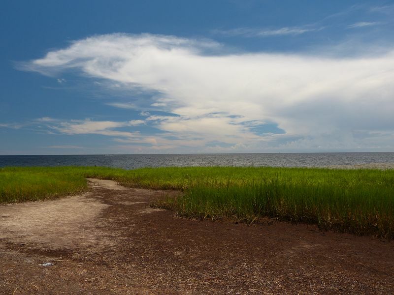 Click to See Next Image