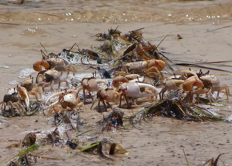 Click to See Next Image