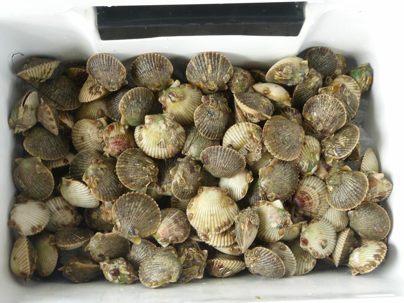 Click to See Next Image