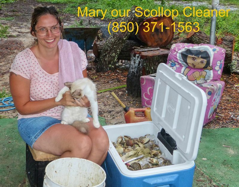 Click to See Next Image