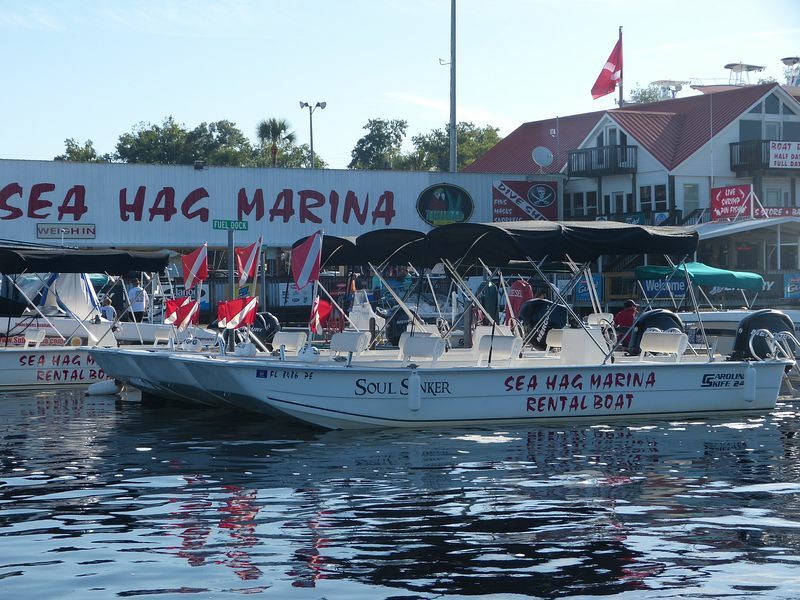 Click to See Next Image