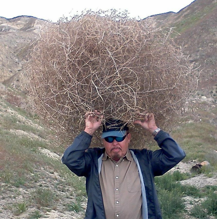 Click to See Next Image