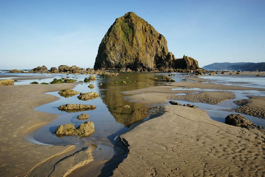 Click to See Next Image