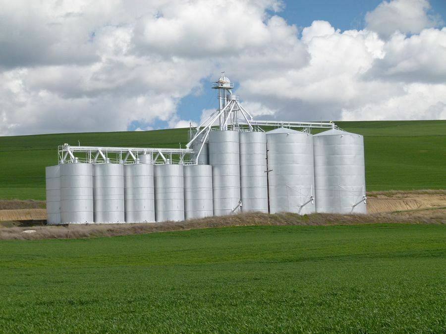 Click to See Next Image