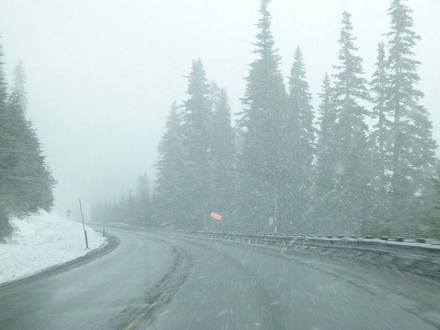 Click to See Next Image