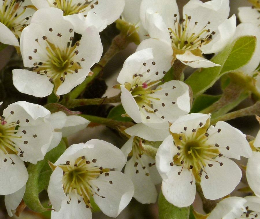 Click to See Next Image