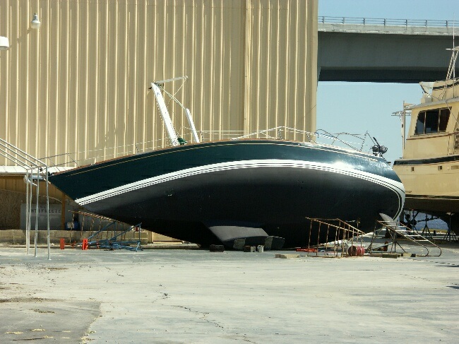 Click to See Next Image