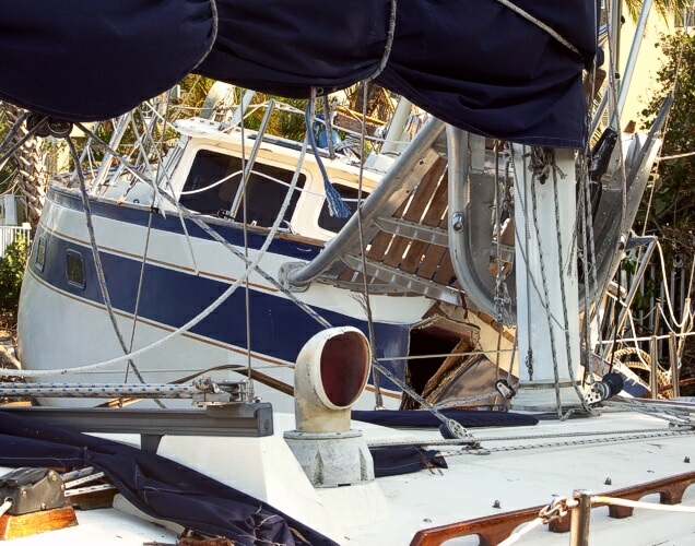 Click to See Next Image